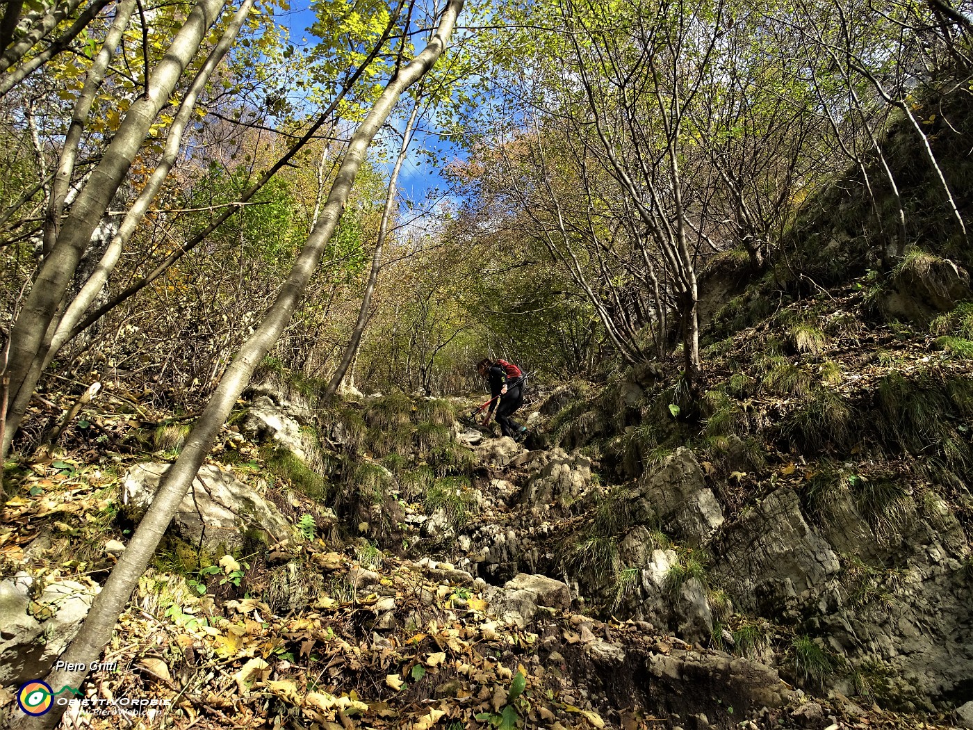 17 Il primo tratto del Sentiero dei morti sale ripido nel bosco.JPG